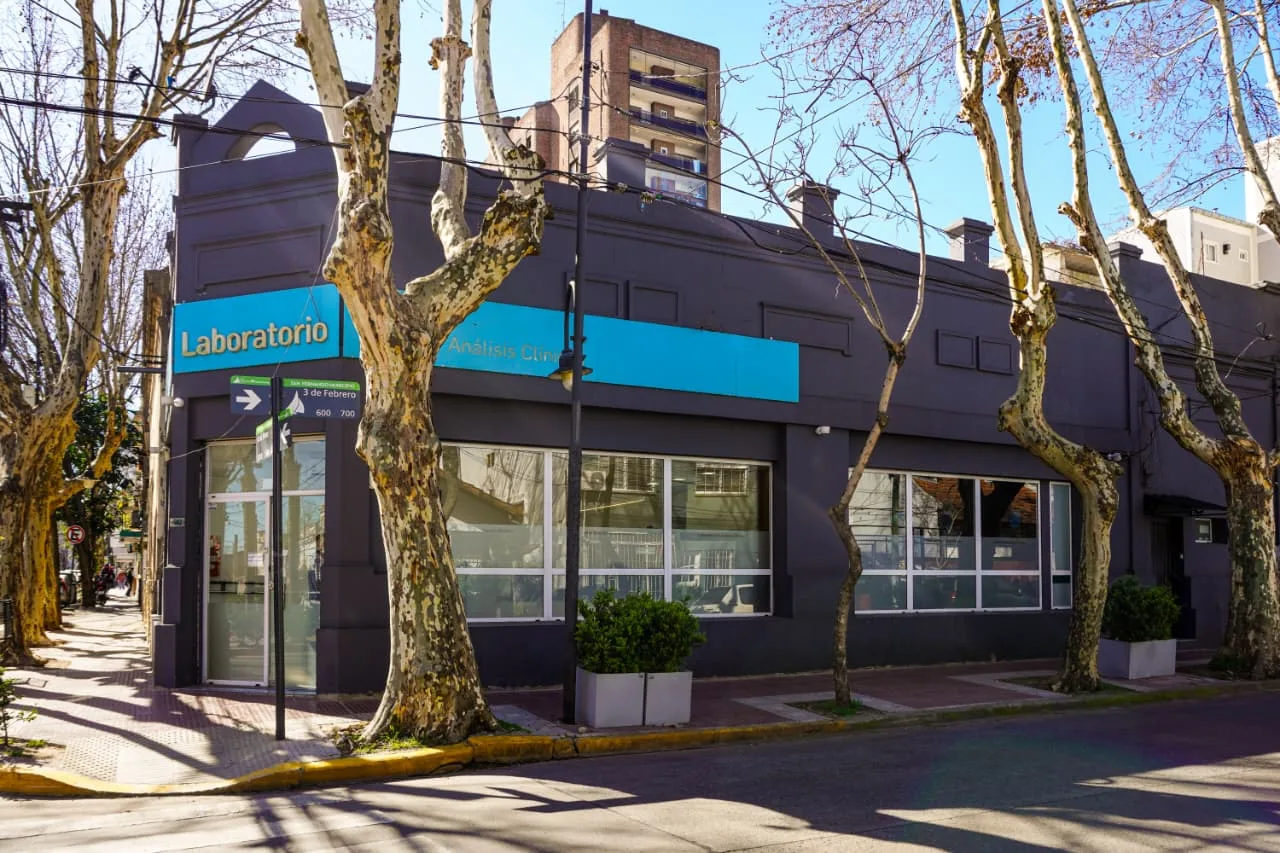Local comercial · 195m² · planta baja + sótano